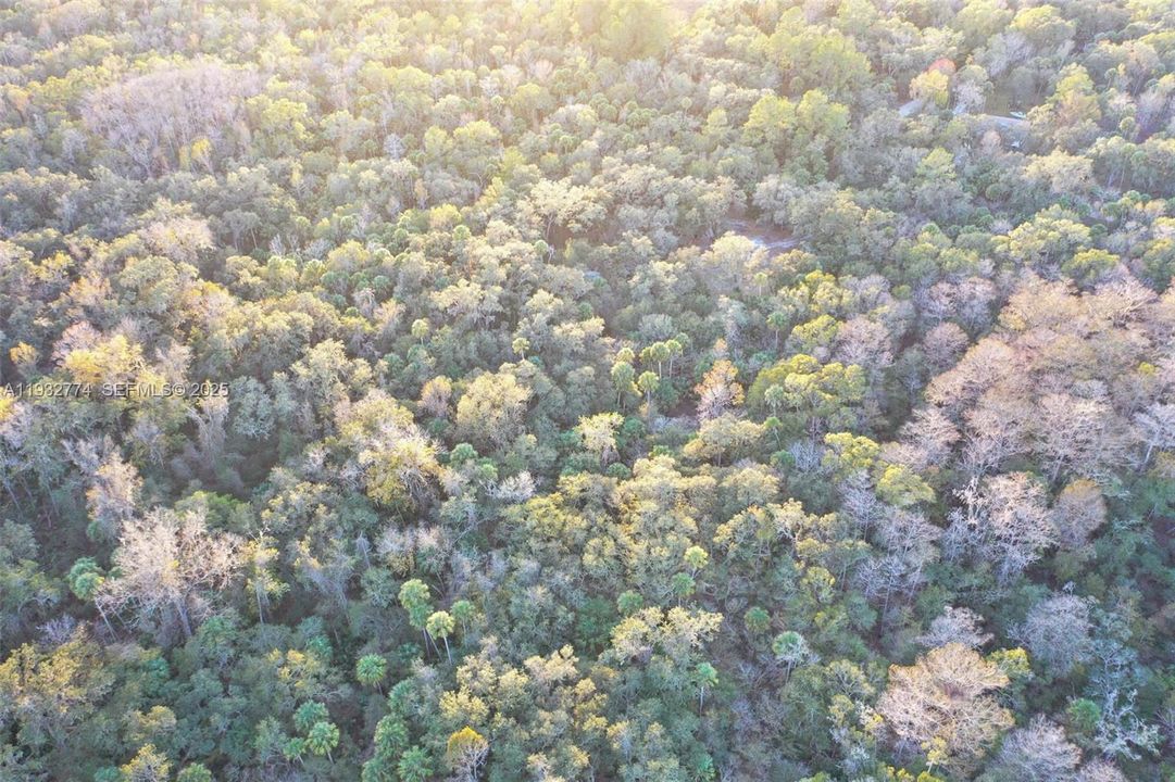 На продажу: $43,900 (1.23 acres)