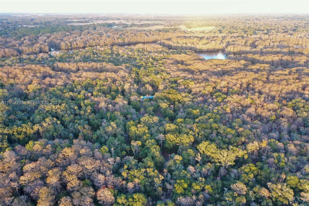 На продажу: $43,900 (1.23 acres)