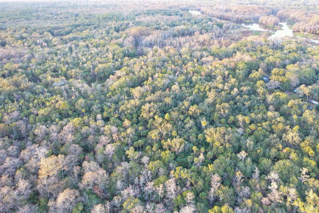 На продажу: $43,900 (1.23 acres)