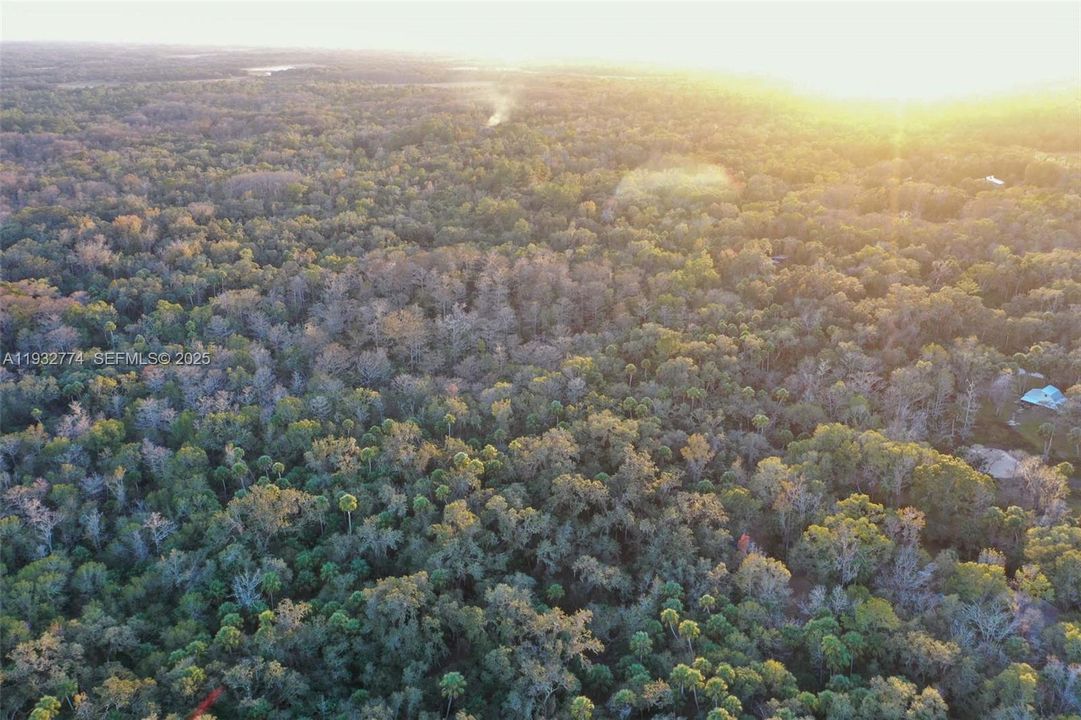 На продажу: $43,900 (1.23 acres)