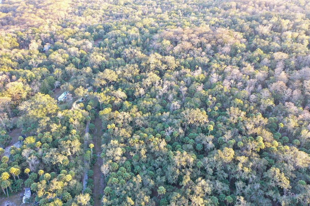 На продажу: $43,900 (1.23 acres)