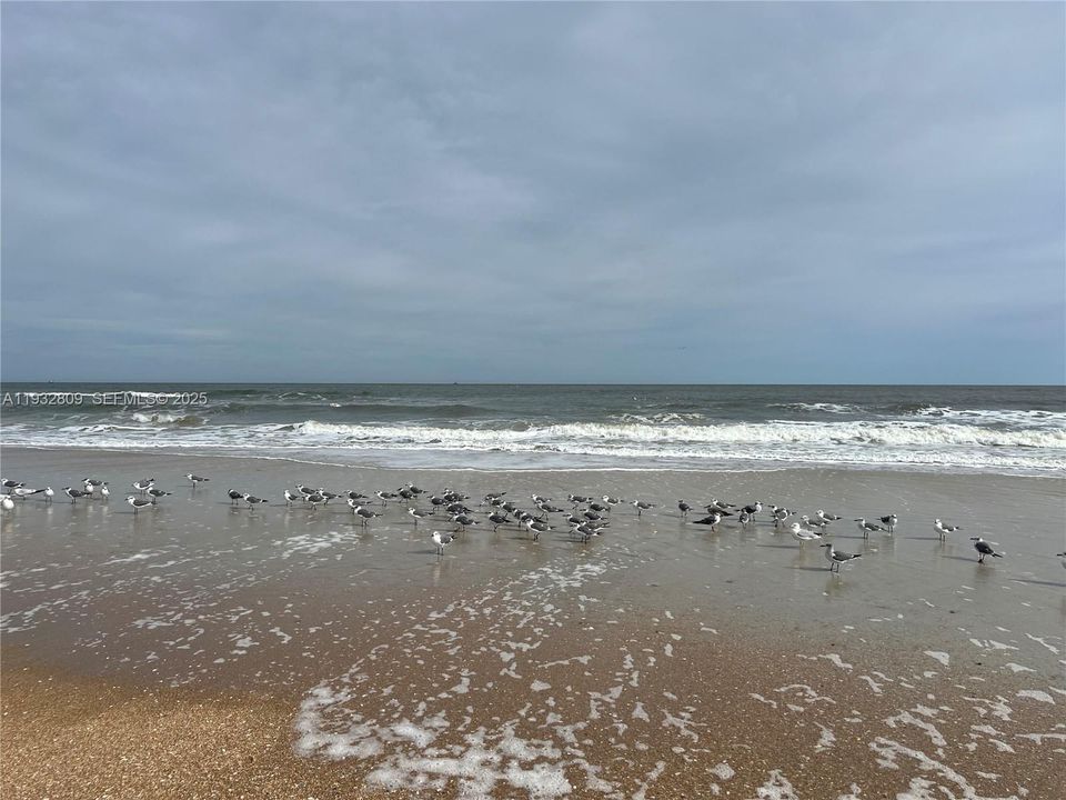 待售: $690,000 (3 贝兹, 3 浴室, 0 平方英尺)