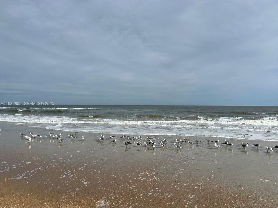 待售: $690,000 (3 贝兹, 3 浴室, 0 平方英尺)