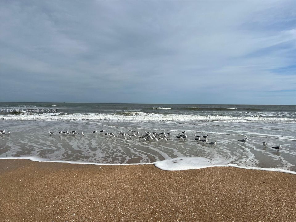 待售: $690,000 (3 贝兹, 3 浴室, 0 平方英尺)