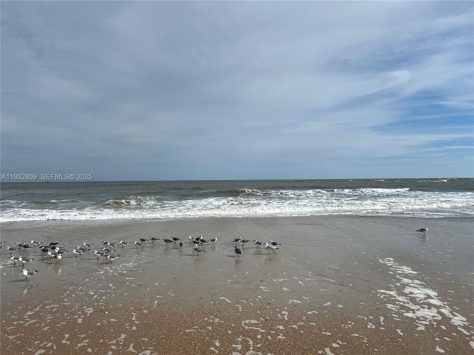 待售: $690,000 (3 贝兹, 3 浴室, 0 平方英尺)