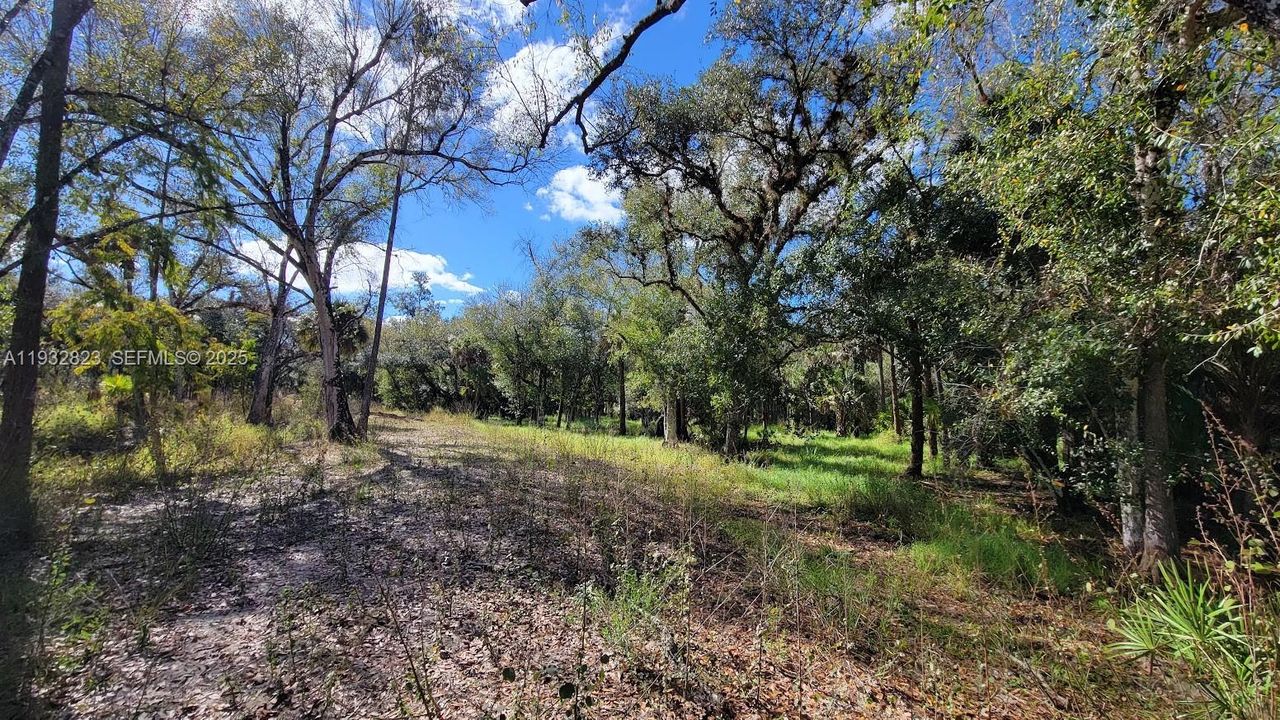 待售: $219,000 (10.66 acres)