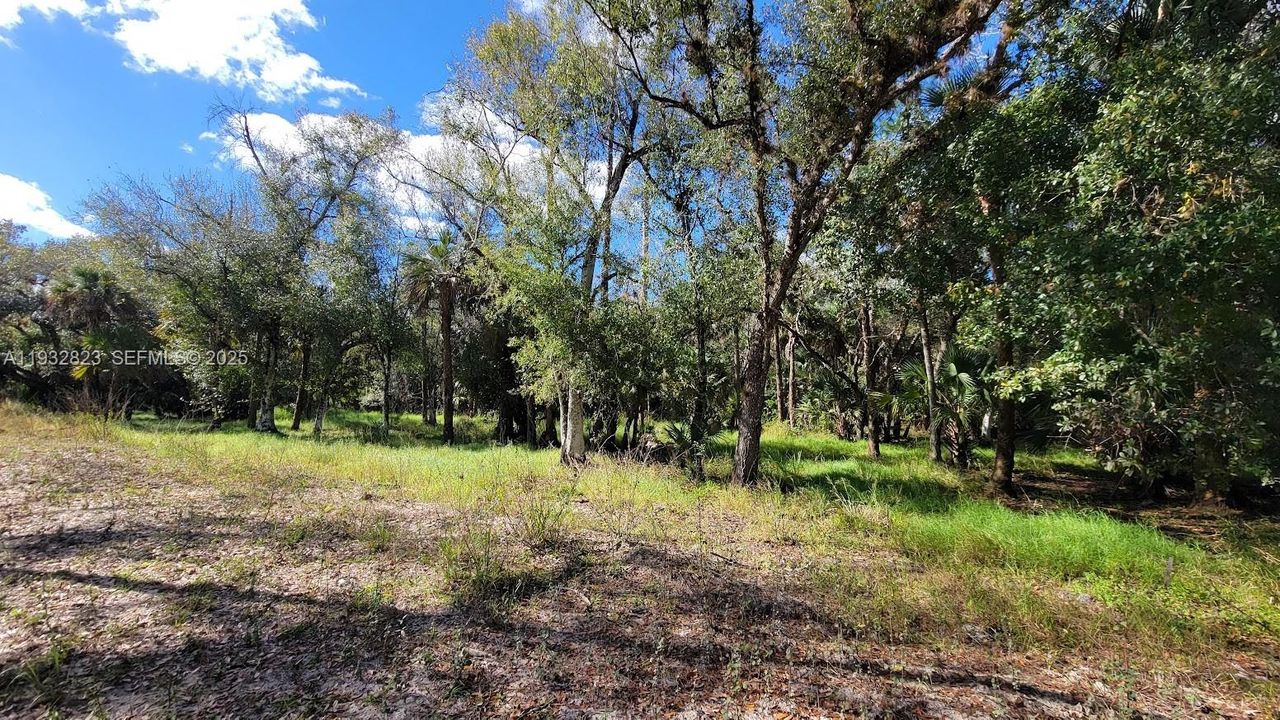 待售: $219,000 (10.66 acres)