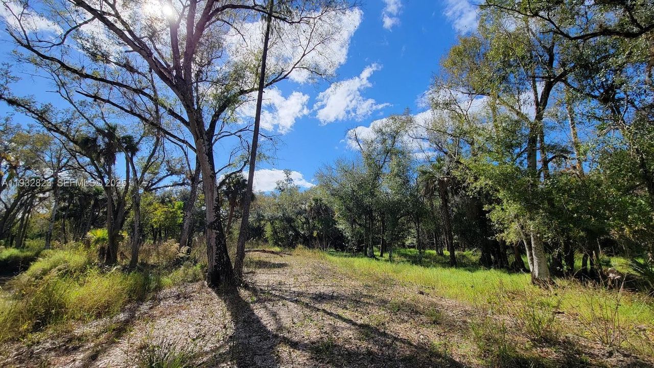 待售: $219,000 (10.66 acres)