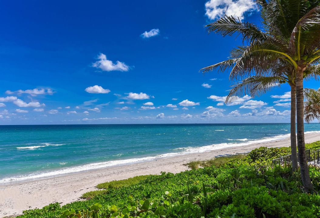 Boca Raton Lifestyle_1