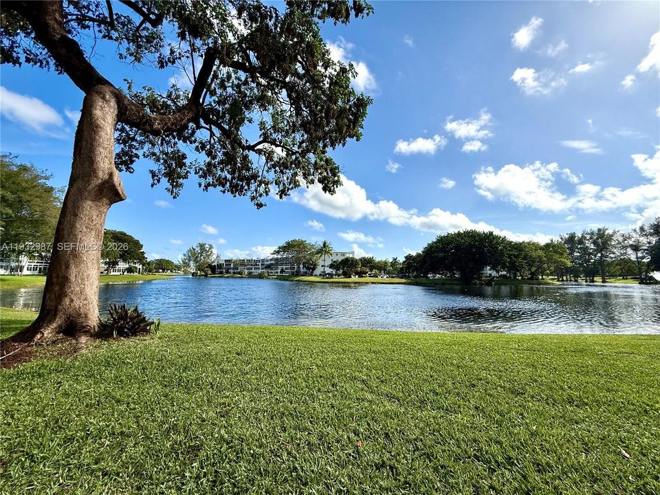 En Venta: $75,000 (1 camas, 1 baños, 603 Pies cuadrados)