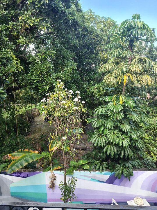 出租: $1,700 (1 贝兹, 1 浴室, 800 平方英尺)