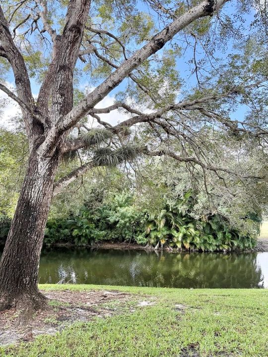 For Rent: $1,799 (1 beds, 1 baths, 743 Square Feet)