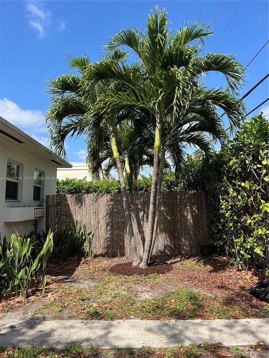 For Sale: $1,100,000 (0 beds, 0 baths, 1909 Square Feet)