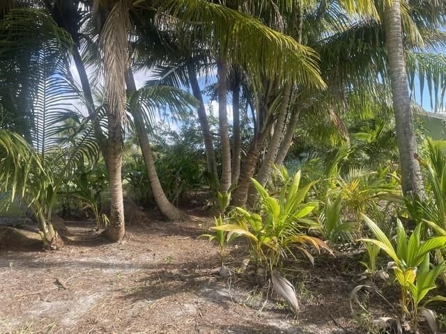 Square Lake Neighborhood _PalmBeachGarde