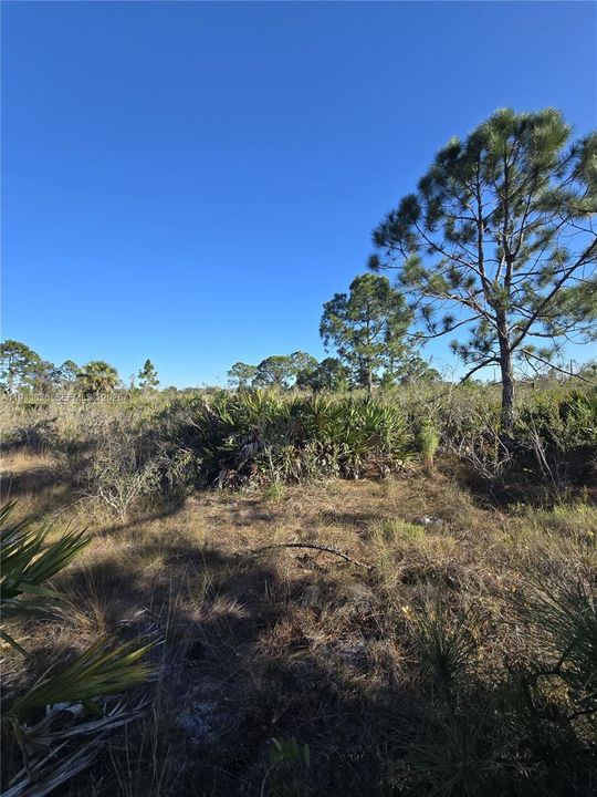 En Venta: $33,000 (0.50 acres)