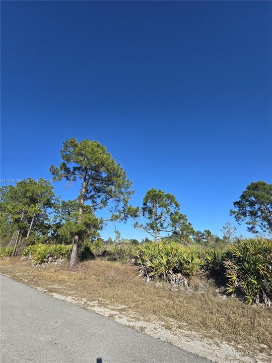 En Venta: $33,000 (0.50 acres)