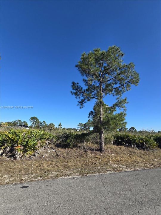 En Venta: $33,000 (0.50 acres)