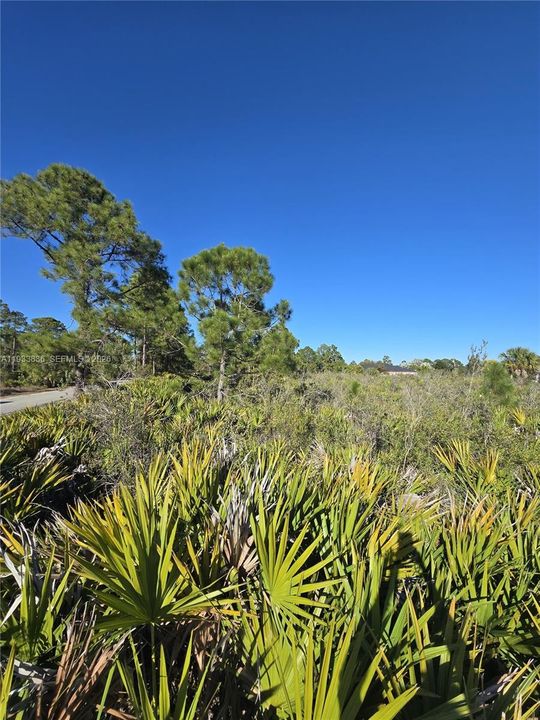 En Venta: $33,000 (0.50 acres)