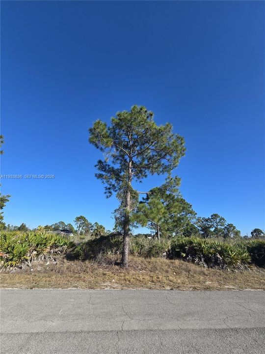 En Venta: $33,000 (0.50 acres)