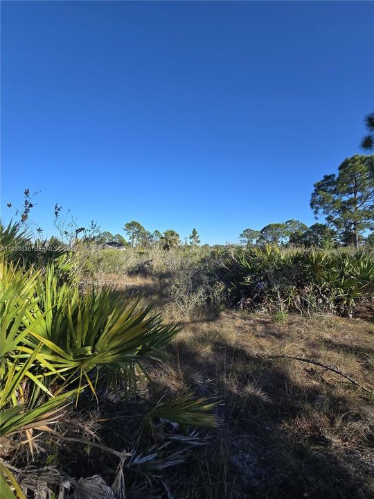 En Venta: $33,000 (0.50 acres)