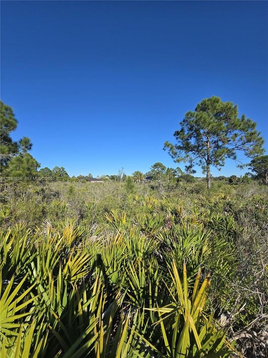 En Venta: $33,000 (0.50 acres)