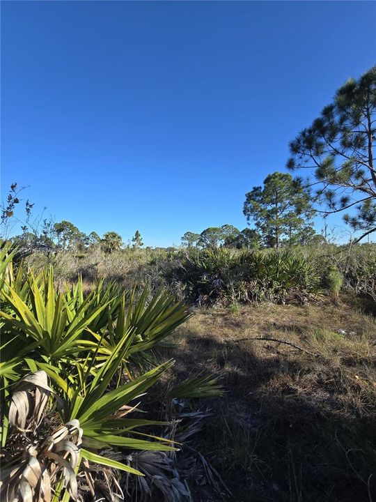 En Venta: $33,000 (0.50 acres)