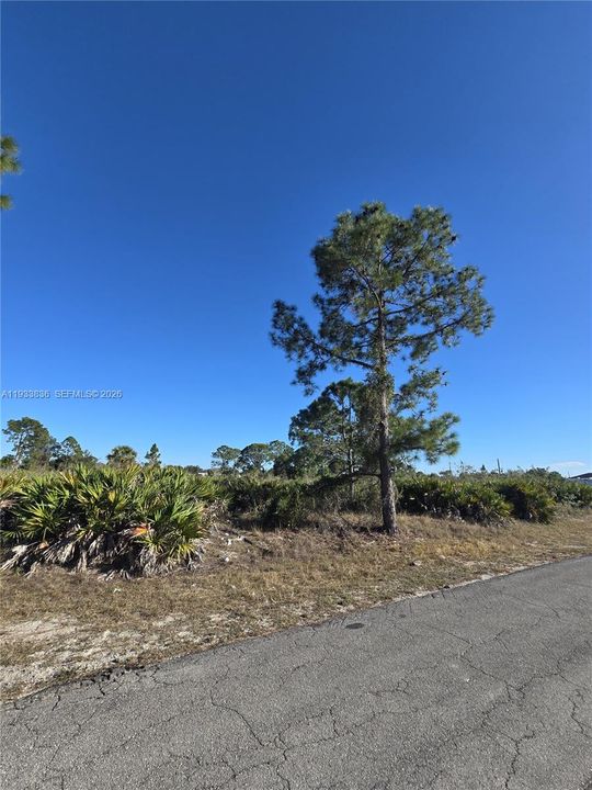 En Venta: $33,000 (0.50 acres)