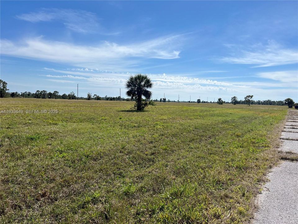 For Sale: $19,500 (0.17 acres)