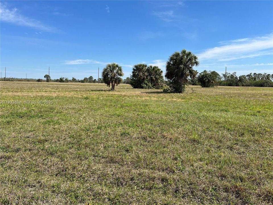 En Venta: $19,500 (0.17 acres)