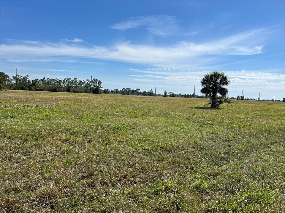 For Sale: $29,500 (0.23 acres)