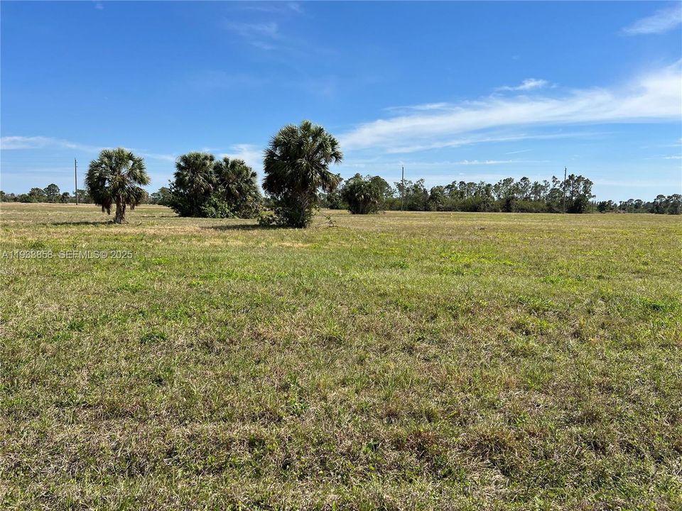 For Sale: $29,500 (0.23 acres)