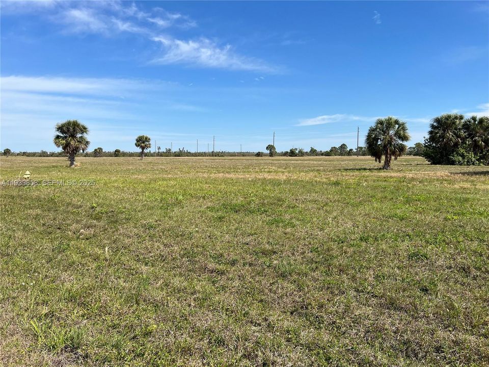 For Sale: $29,500 (0.23 acres)
