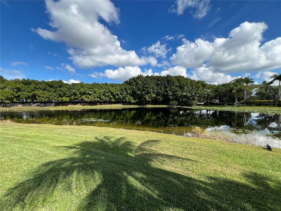 出租: $5,800 (4 贝兹, 2 浴室, 2116 平方英尺)