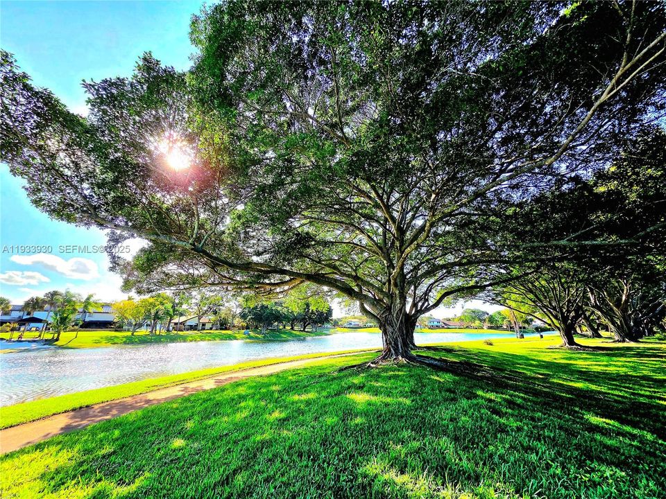 На продажу: $715,000 (4 спален, 2 ванн, 2060 Квадратных фут)