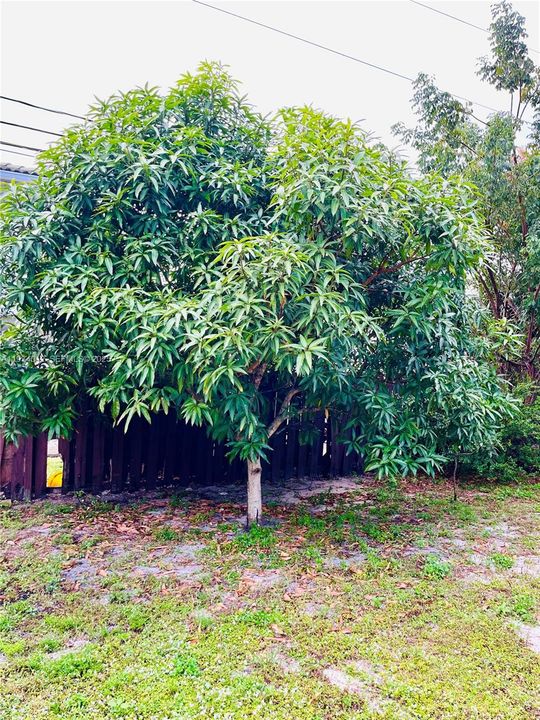 待售: $395,000 (3 贝兹, 2 浴室, 1238 平方英尺)