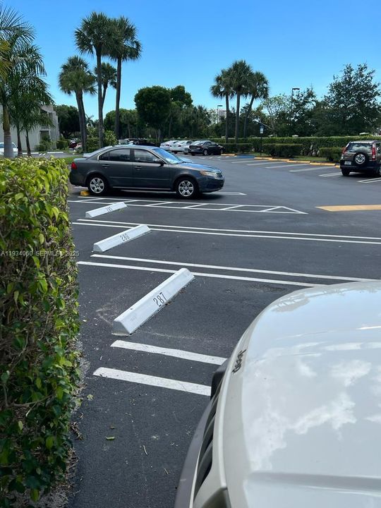 出租: $1,550 (1 贝兹, 1 浴室, 625 平方英尺)