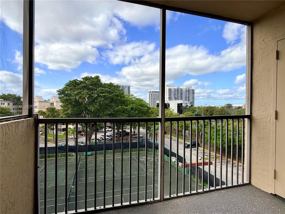 Big, screened balcony