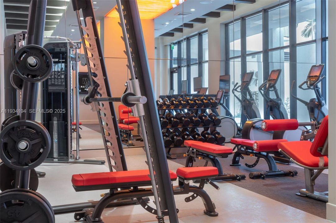 出租: $2,698 (1 贝兹, 1 浴室, 531 平方英尺)