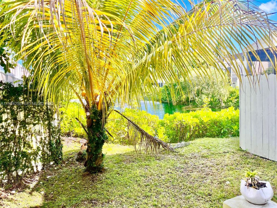 For Rent: $4,200 (3 beds, 2 baths, 1680 Square Feet)