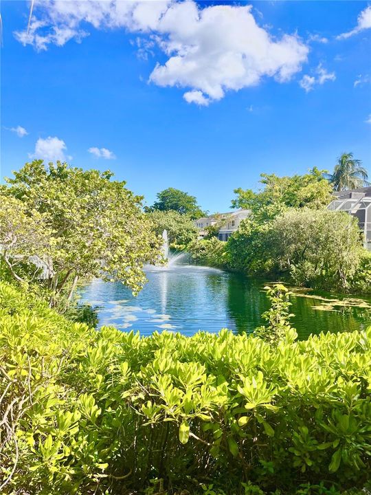 For Rent: $4,200 (3 beds, 2 baths, 1680 Square Feet)