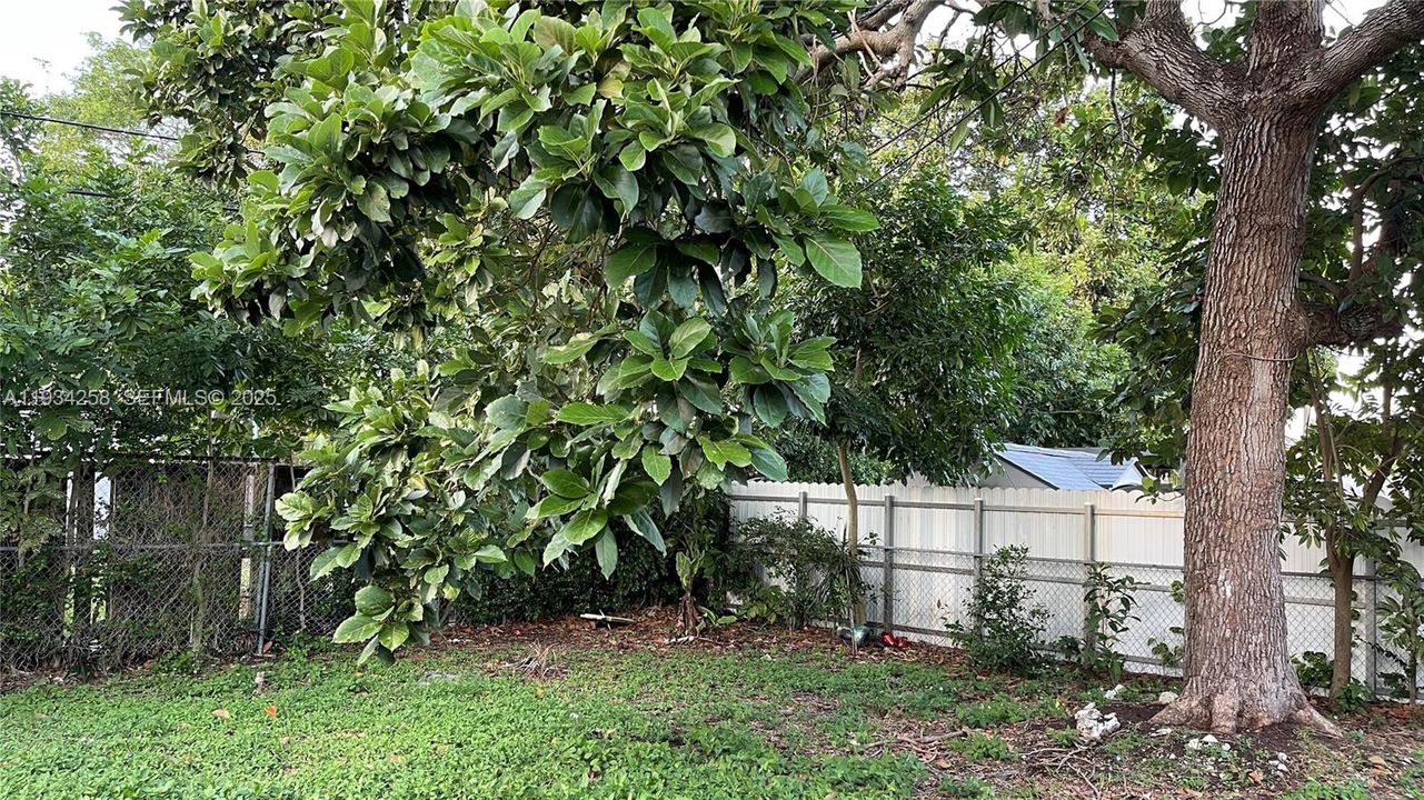 For Sale: $610,000 (3 beds, 2 baths, 1670 Square Feet)