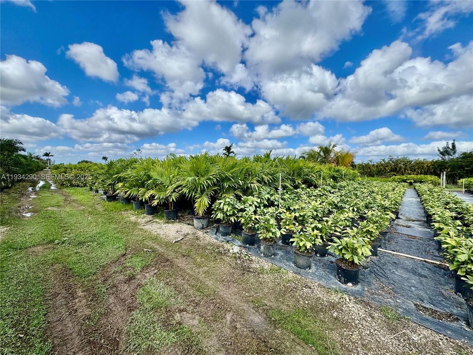 For Sale: $2,950,000 (15.52 acres)