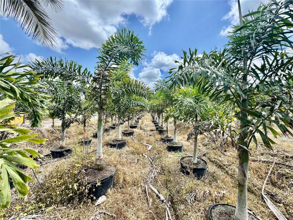 En Venta: $2,950,000 (15.52 acres)