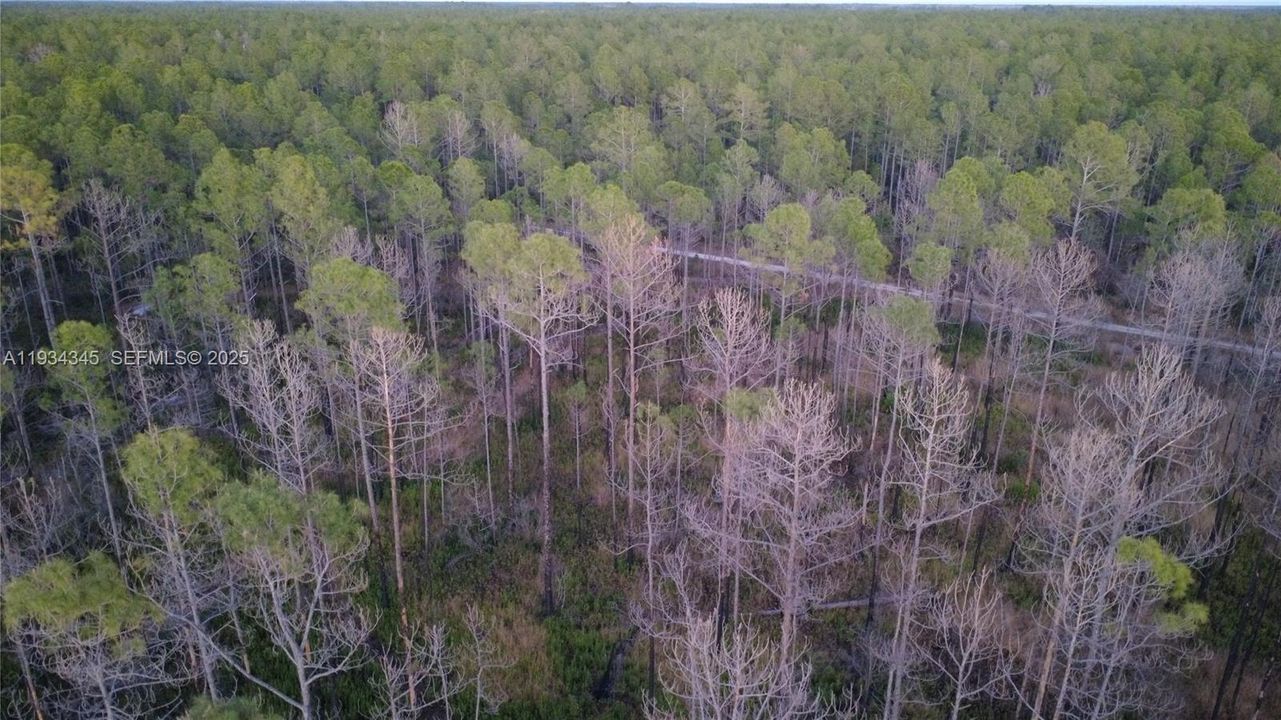 待售: $13,000 (1.25 acres)