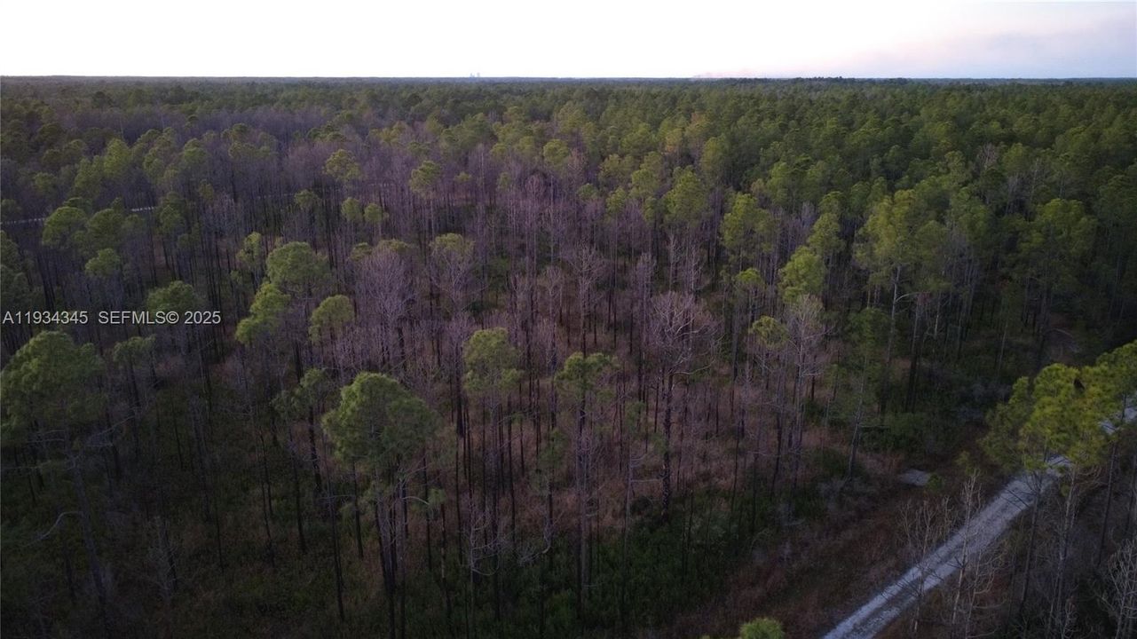 待售: $13,000 (1.25 acres)