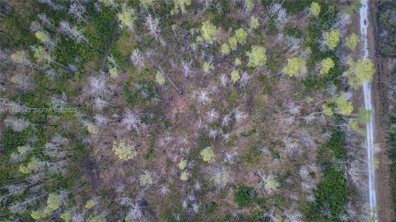 待售: $13,000 (1.25 acres)