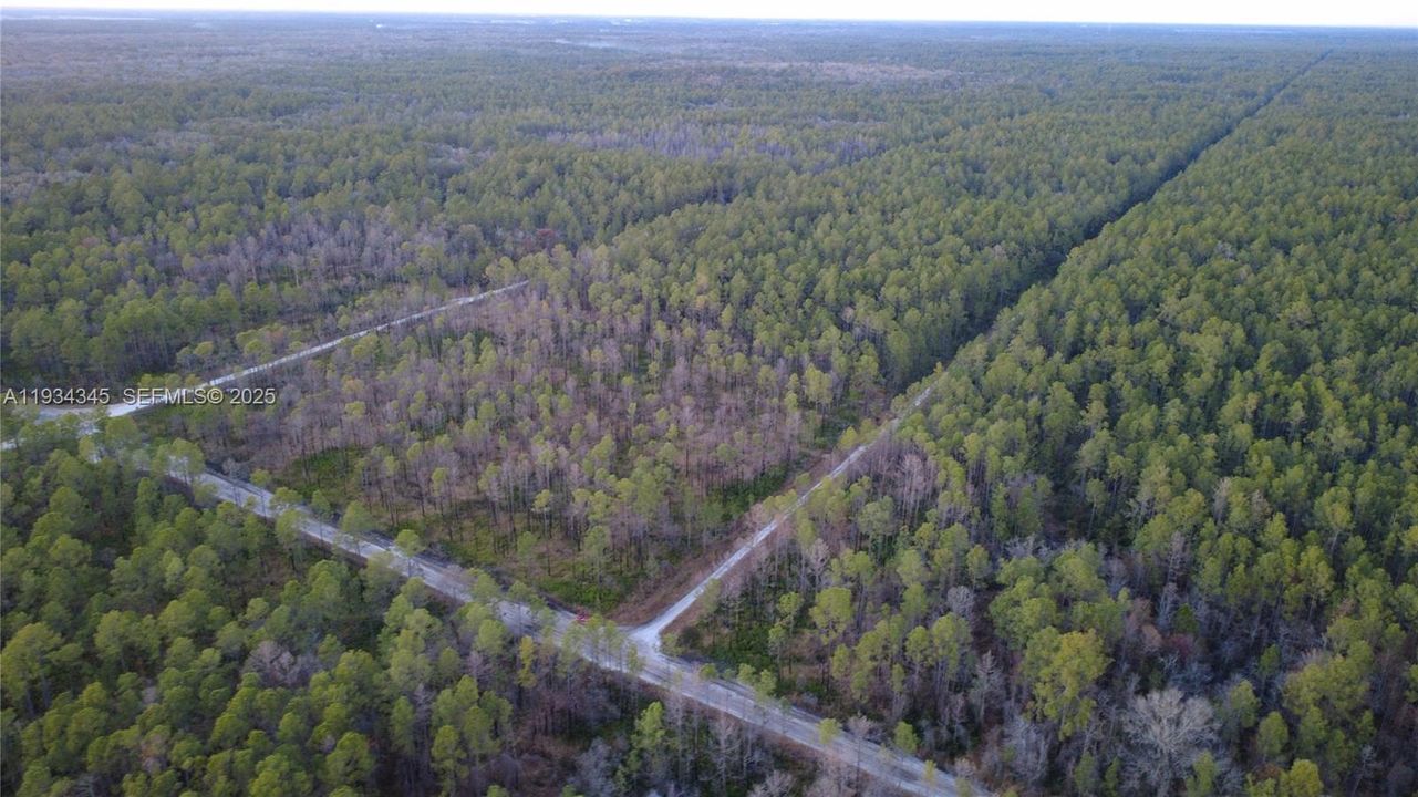 待售: $13,000 (1.25 acres)