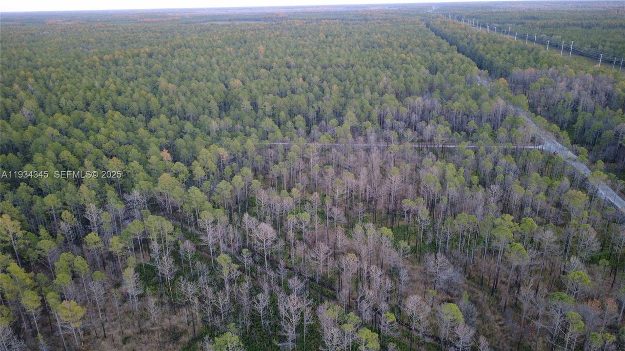 待售: $13,000 (1.25 acres)