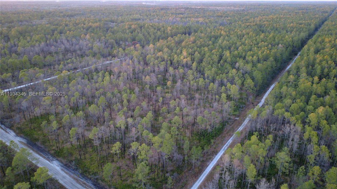 待售: $13,000 (1.25 acres)