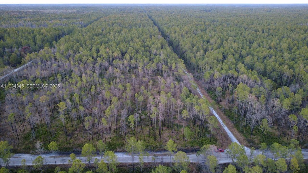 待售: $13,000 (1.25 acres)